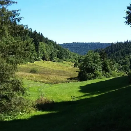 Lejlighed Meisterhaus Og Alpirsbach