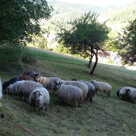 Meisterhaus Og Alpirsbach